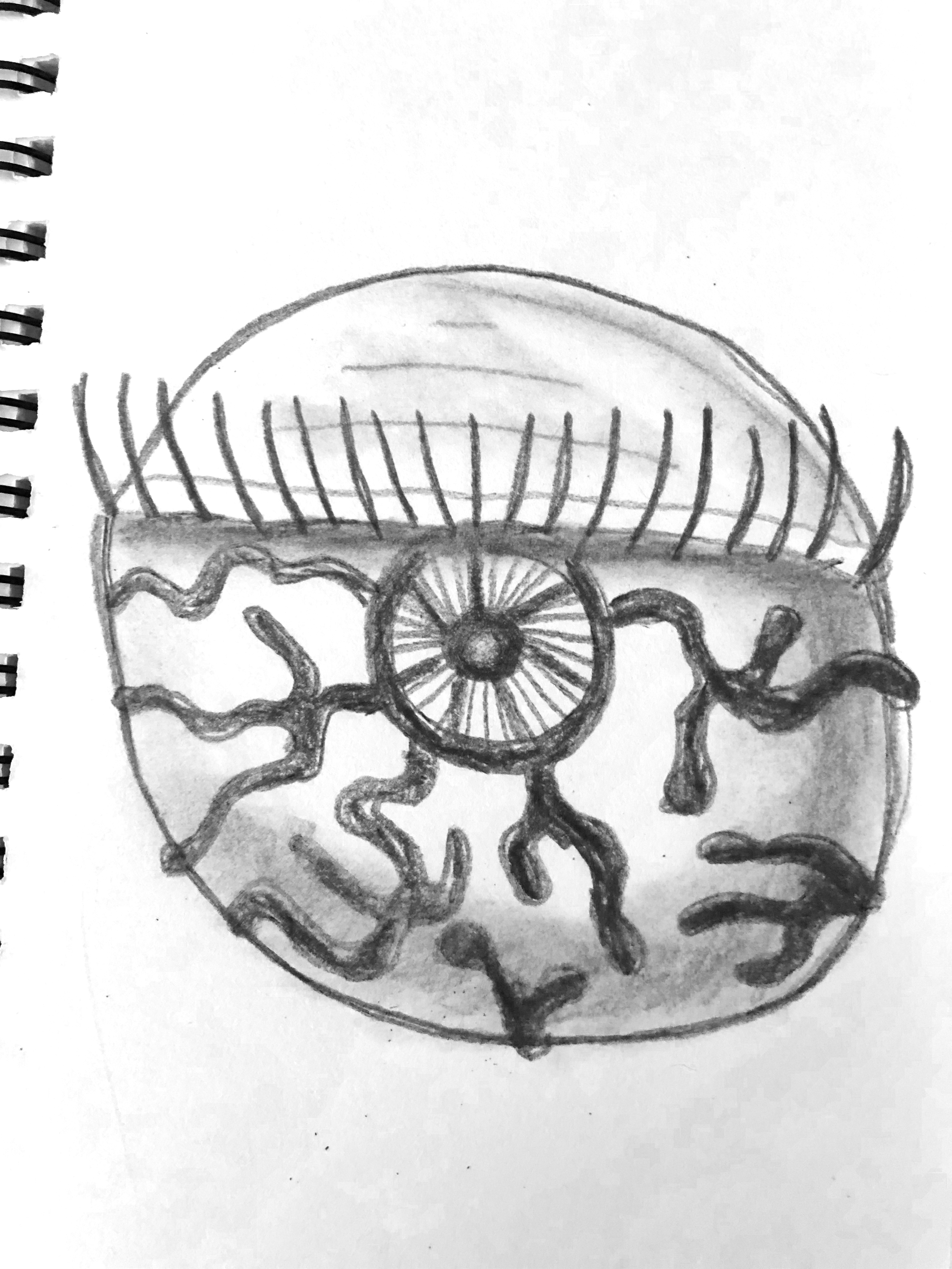 Detailed charcoal drawing of an eyeball with bulging veins
