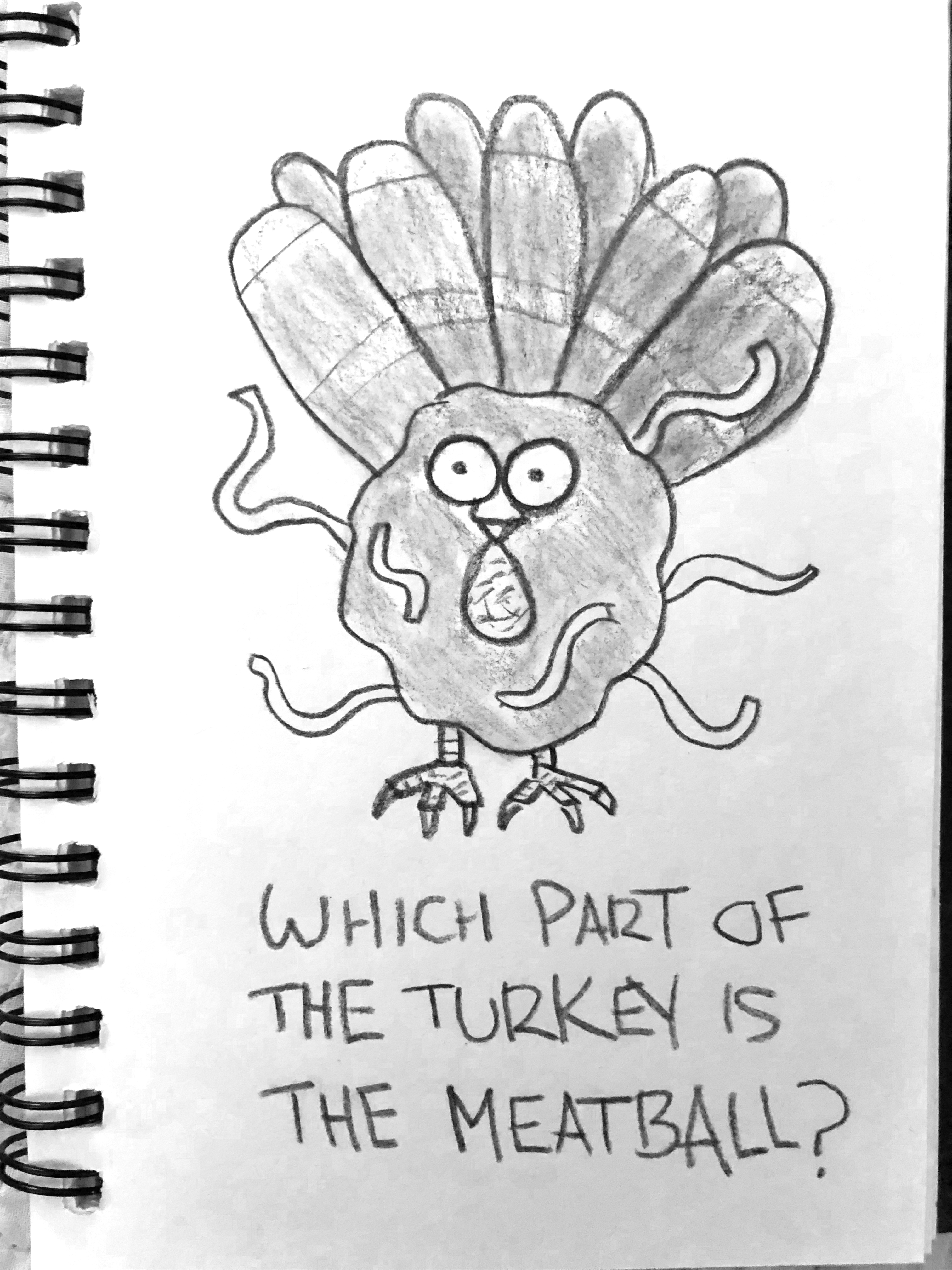Charcoal drawing of a turkey comprised of a meatball and noodles