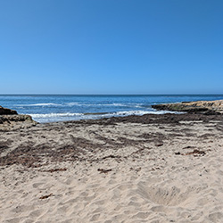 Looking at the ocean from a sandy beach in Santa Cruz, California